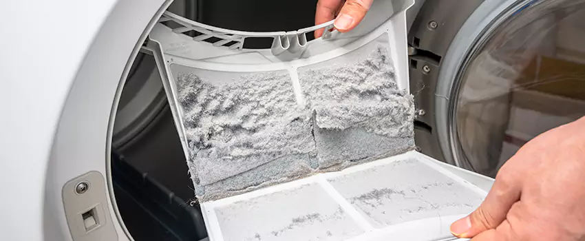 Best Dryer Lint Removal Company in Battle Ground, Washington