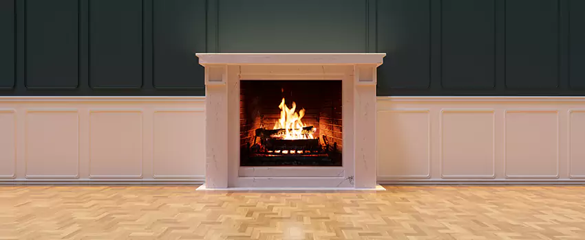 Napoleon Electric Fireplaces Inspection Service in Battle Ground, Washington