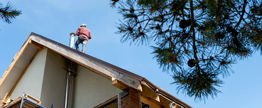 Birds Removal Contractors from Chimney in Battle Ground, WA